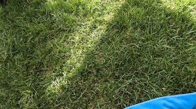 Best way to meet new friends is on your knees!